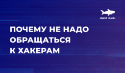 Как сделать Ддос-атаку и сесть на семь лет