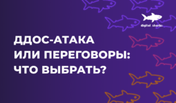 Заказать Ддос-атаку или обратиться к специалисту по переговорам?