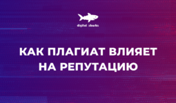 Кейс Ольги Сушко: как новость о плагиате повлияла на поисковую выдачу