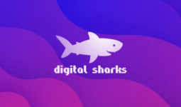 Что происходит с вашими данными, когда они попадают в Digital Sharks